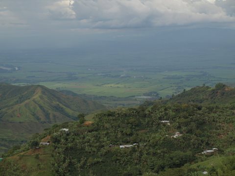 Las demandas de los campesinos