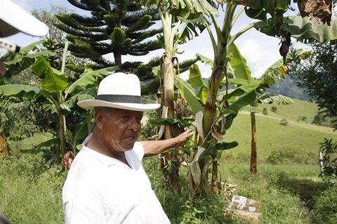 Las demandas de los campesinos