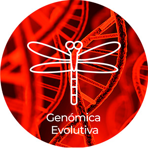 genómica-evolutiva