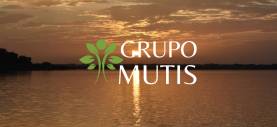 Grupo Mutis