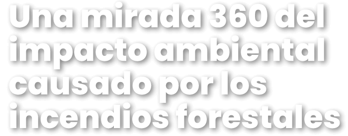 Una mirada 360 del impacto ambiental causado por los incendios forestales