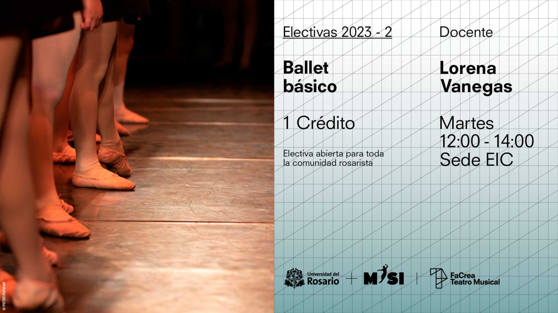 Ballet básico