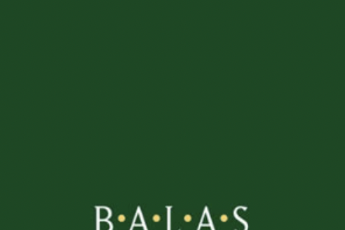 logo The Business Association of Latin American Studies