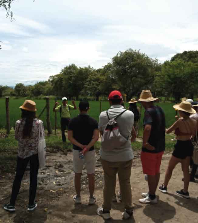 Propósitos o actividades semillero de equidad