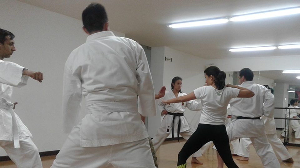 Karate URosario