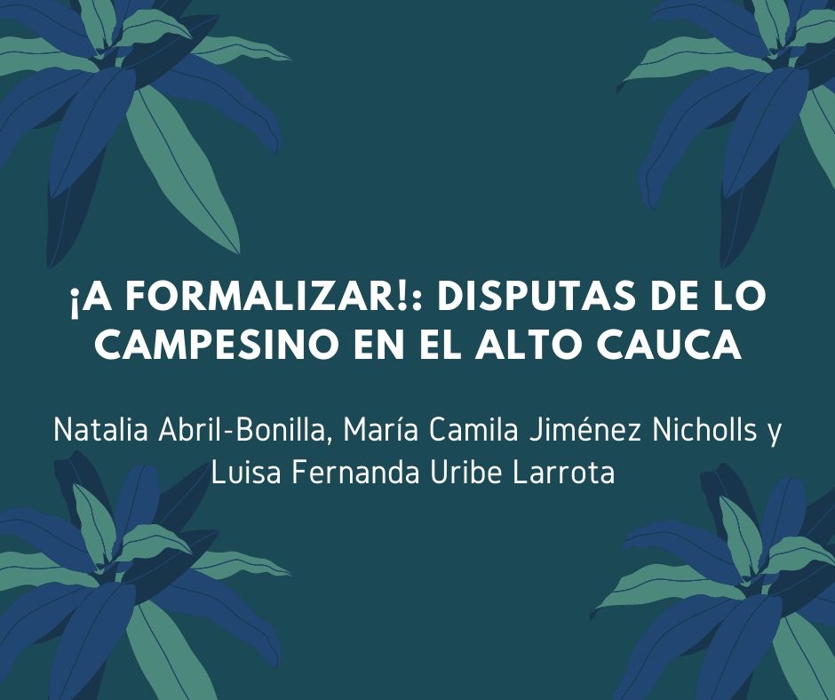 ¡A formalizar!: disputas de lo campesino en el Alto Cauca *