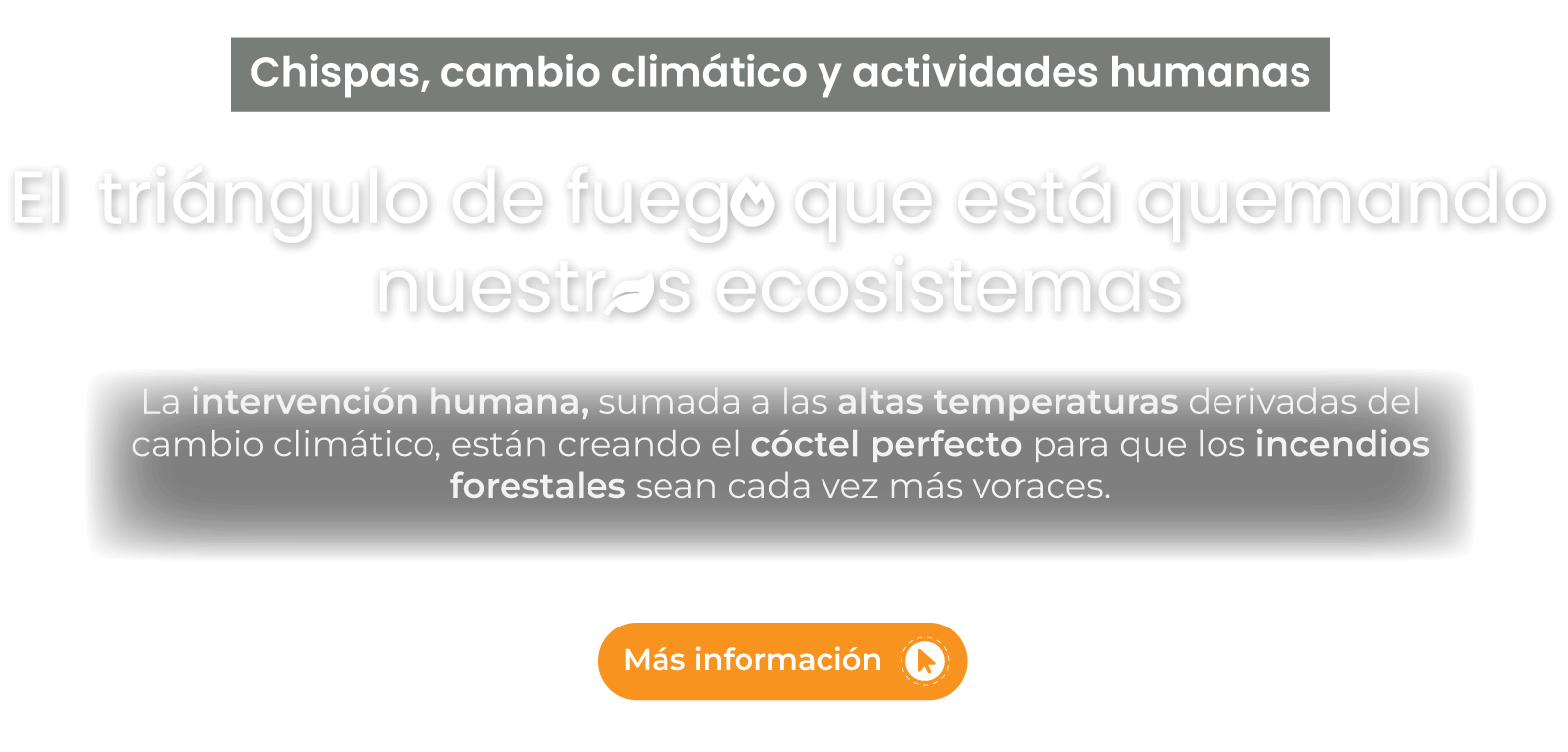 Chispas, cambio climático y actividades humanas, el triangulo de fuego que esta quemando nuestros ecosistemas, La intervención humana, sumada a las altas temperaturas derivadas del cambio climático, están creando el cóctel perfecto para que los incendios forestales sean cada vez más voraces.