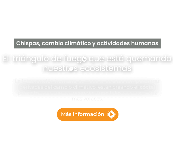 Chispas, cambio climático y actividades humanas, el triangulo de fuego que esta quemando nuestros ecosistemas, La intervención humana, sumada a las altas temperaturas derivadas del cambio climático, están creando el cóctel perfecto para que los incendios forestales sean cada vez más voraces.