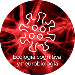 ecología cognitiva y neurobiología