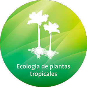 Ecología de plantas tropicales