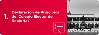 Declaración de Principios del Colegio Elector de Rector(a). 