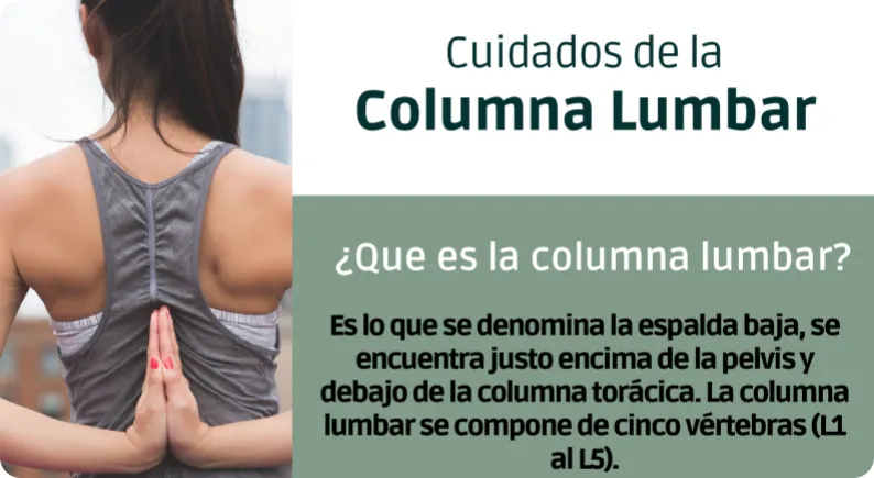 Cuidado de la columna lubar