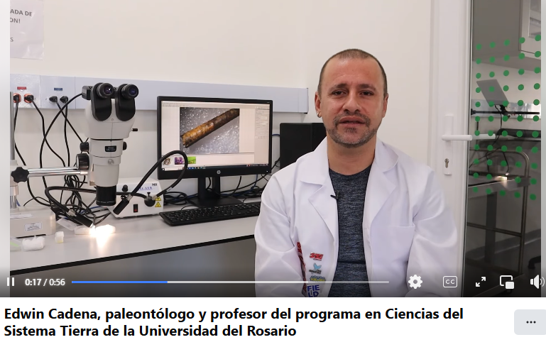 The Albatross flew across the ocean