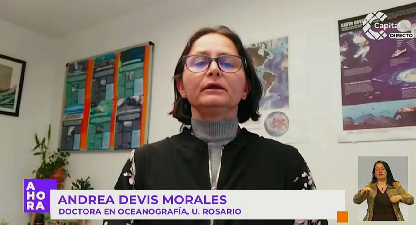 The Albatross flew across the ocean