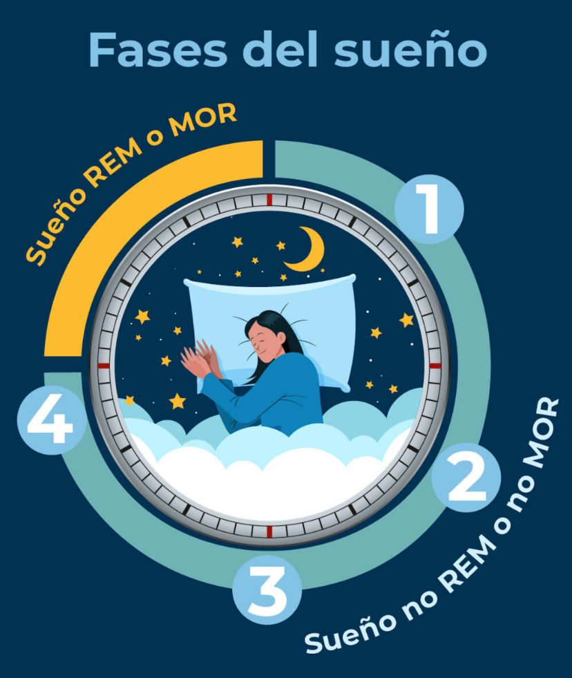 La importancia de dormir y soñar | Universidad del Rosario