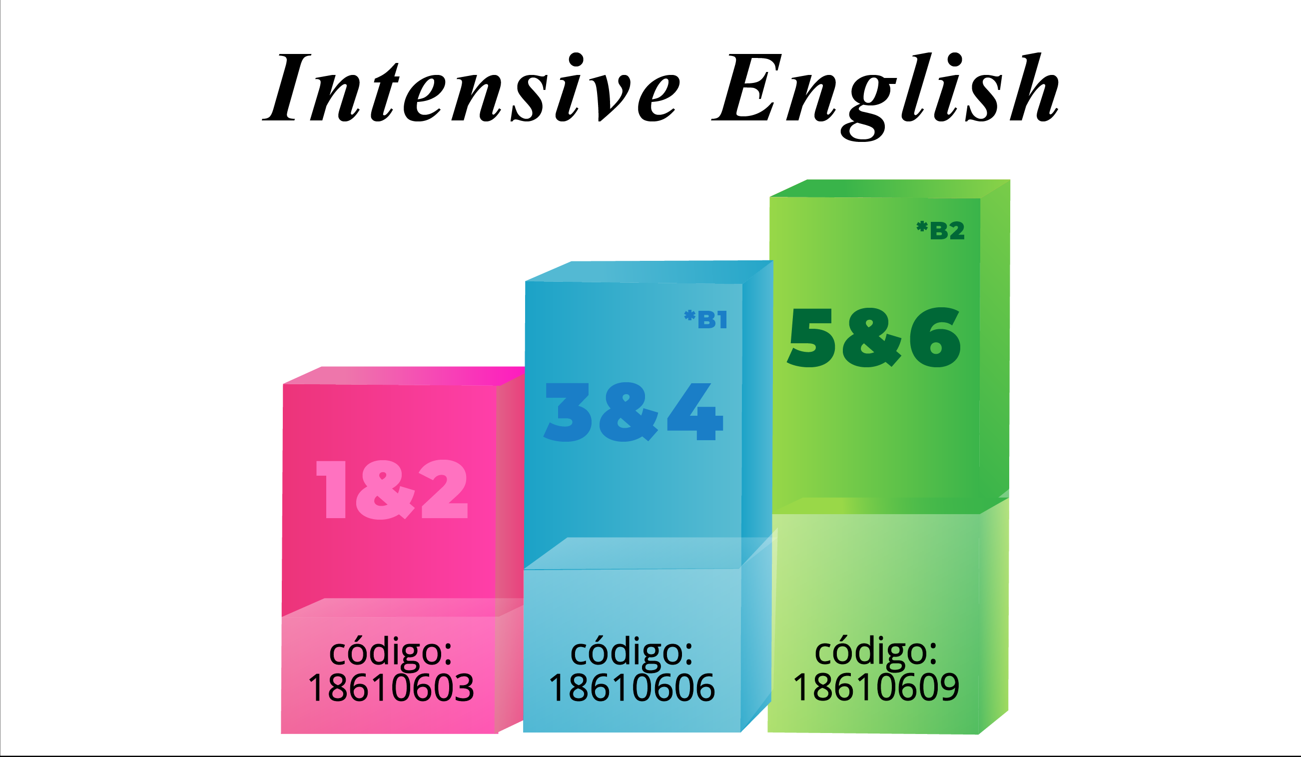 oferta-de-cursos-intesivos