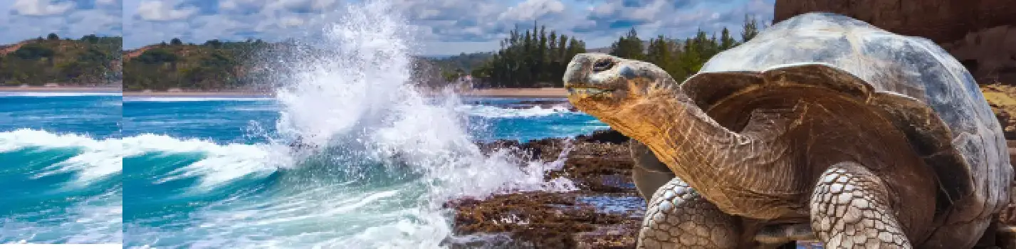 Explora Galápagos: Volcanes, Biodiversidad y Evolución