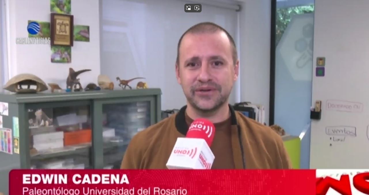 The Albatross flew across the ocean