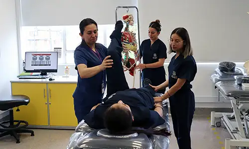 Acreditación que abre fronteras en el Pregrado en Fisioterapia de la Universidad del Rosario