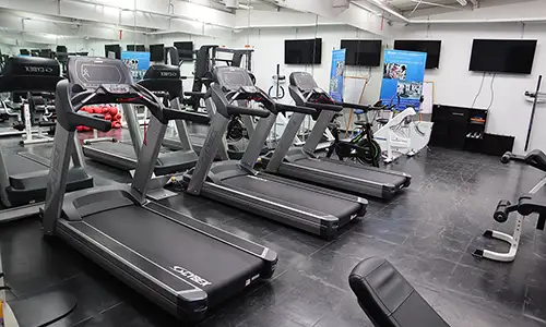 Laboratorios donde el conocimiento cobra vida en el Pregrado en Fisioterapia de la Universidad del Rosario