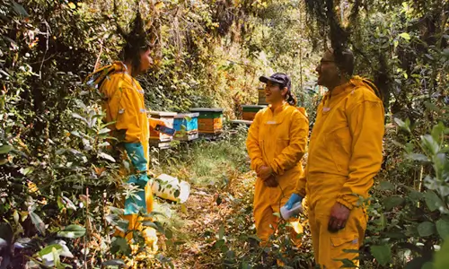 Rutas que cultivan tus intereses