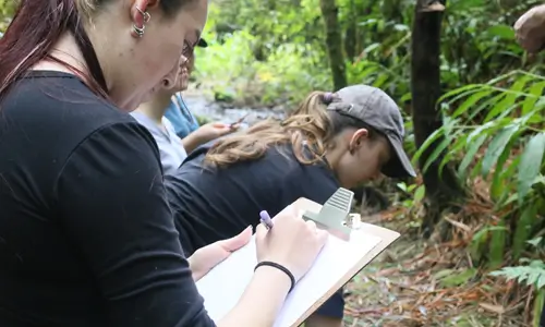 Una estación de campo propia