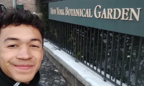 Proyección e impacto