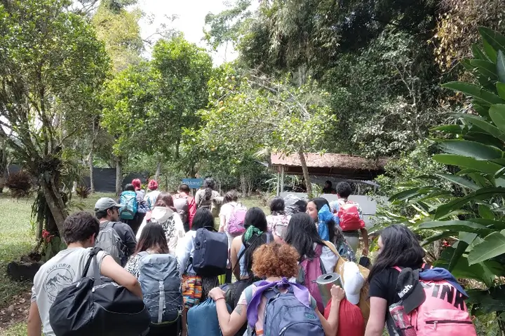 Pregrado en Sociología
