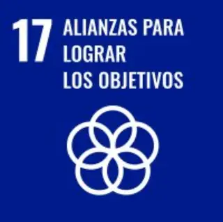 Alianzas para lograr los objetivos 