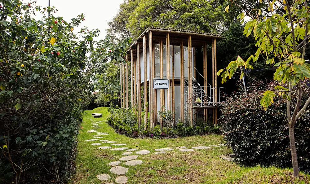 Apiario en el Pregrado en Biología de la Universidad del Rosario