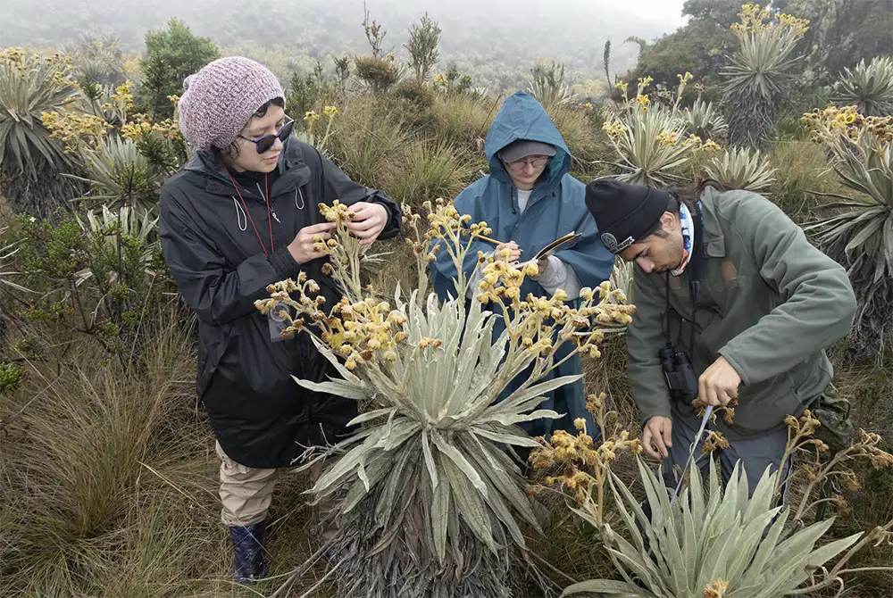 Laboratorios y espacios en el Pregrado en Biología de la Universidad del Rosario