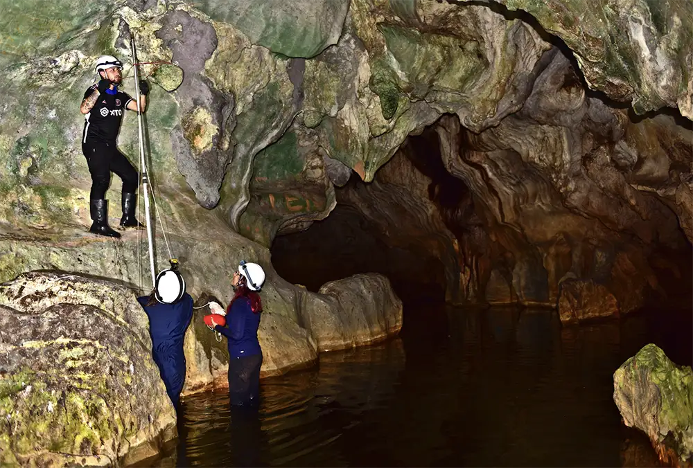 Laboratorios y espacios en el Pregrado en Biología de la Universidad del Rosario