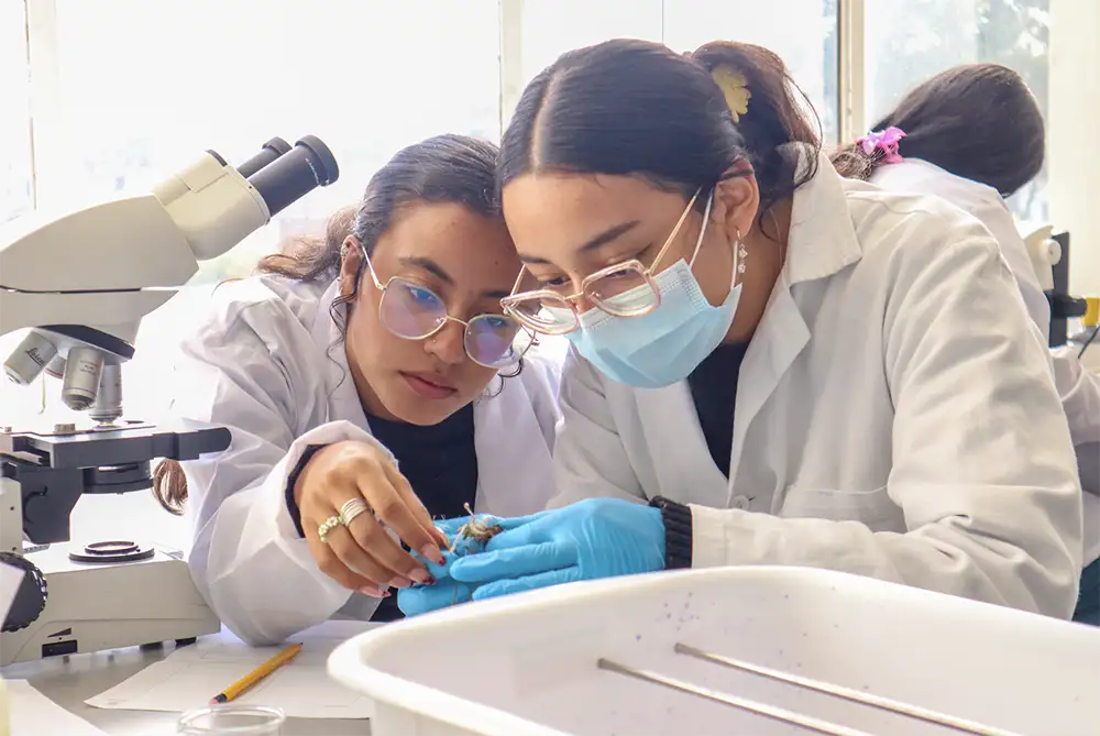 Laboratorios y espacios en el Pregrado en Biología de la Universidad del Rosario
