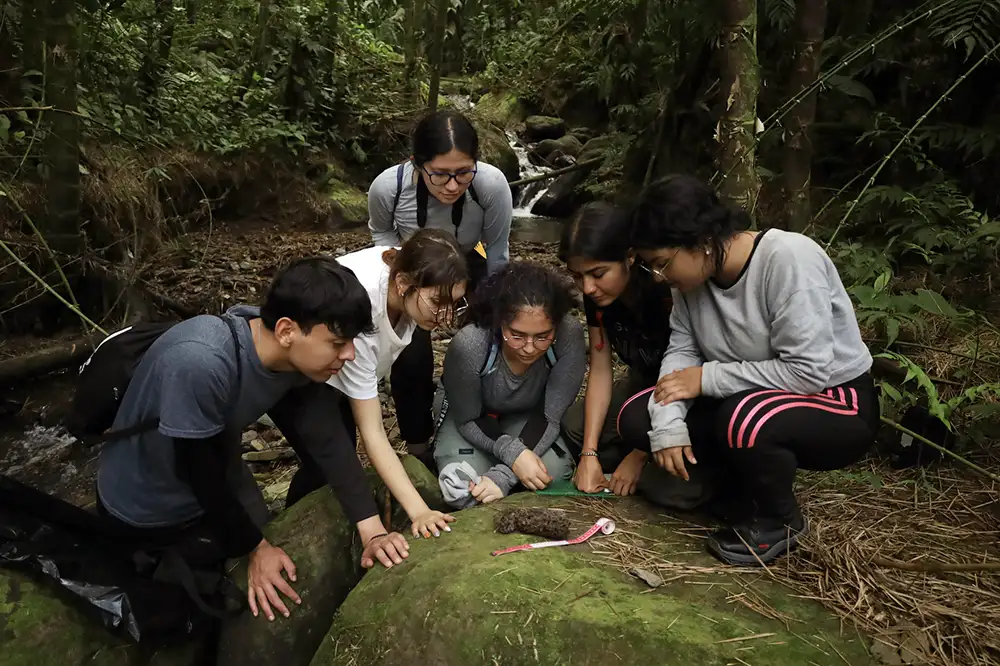 Tesis de investigación en el Pregrado en Biología de la Universidad del Rosario
