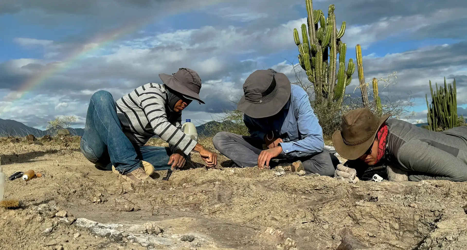 Pregrado en Ciencias del Sistema Tierra de la Universidad del Rosario