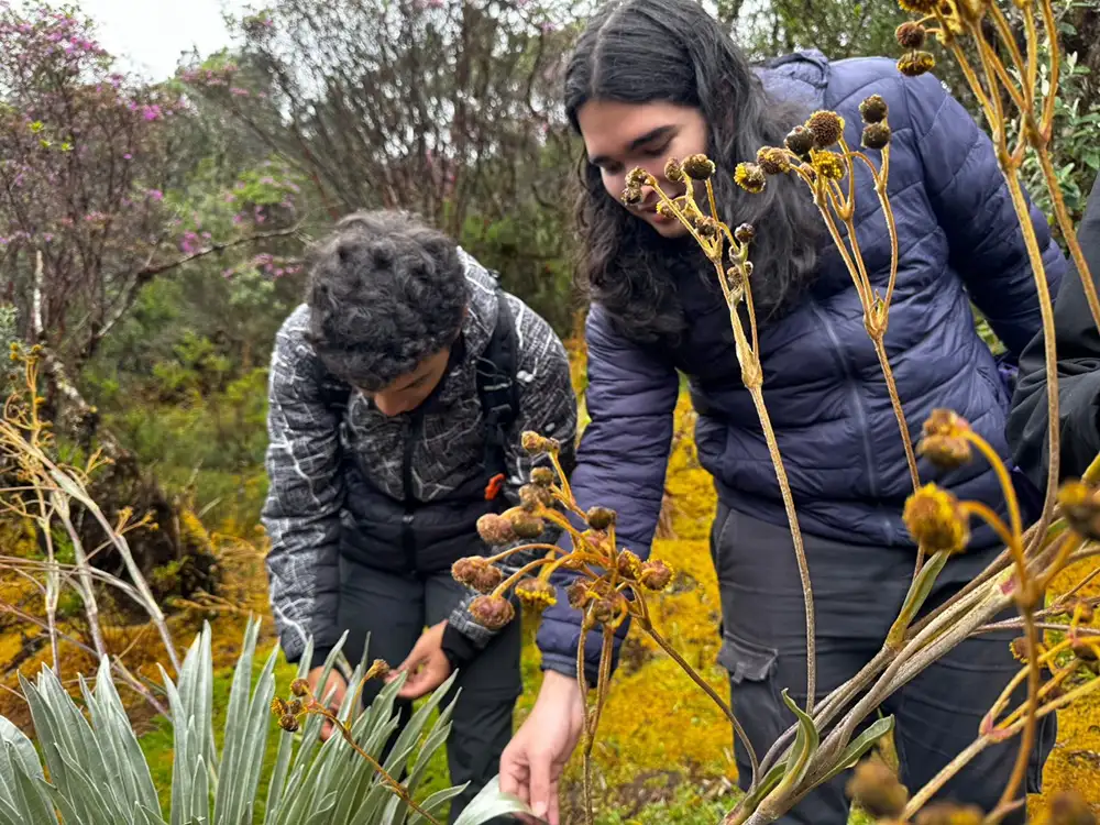 Laboratorios y espacios en el Pregrado en Ciencias del Sistema Tierra de la Universidad del Rosario