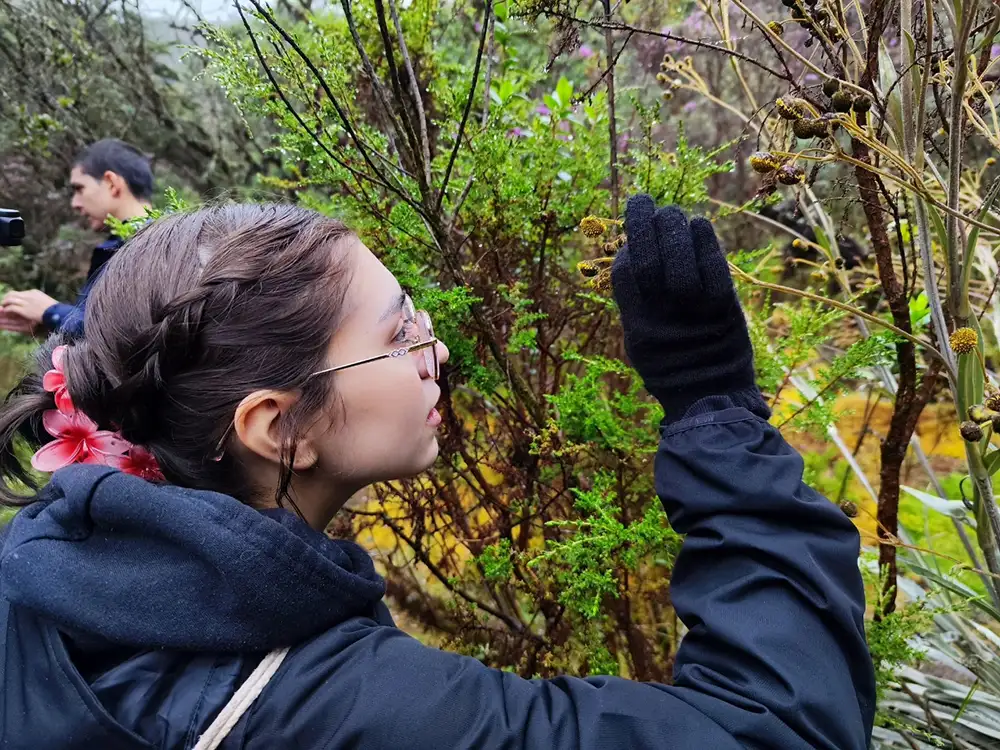 Laboratorios y espacios en el Pregrado en Ciencias del Sistema Tierra de la Universidad del Rosario
