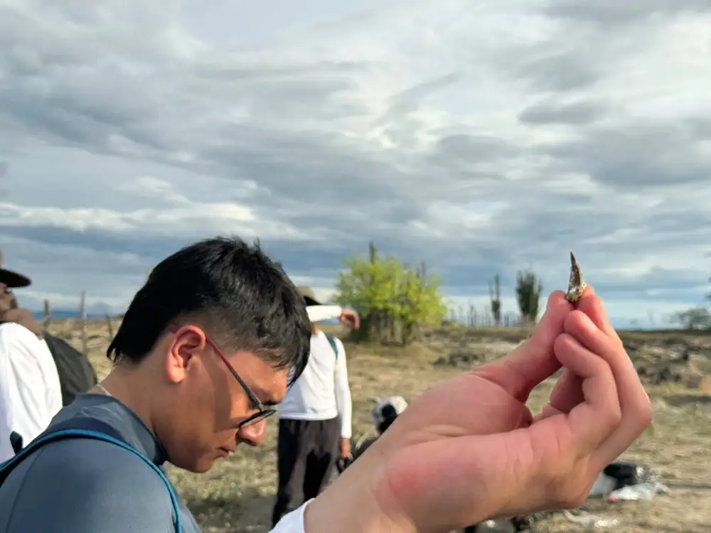 Laboratorios y espacios en el Pregrado en Ciencias del Sistema Tierra de la Universidad del Rosario