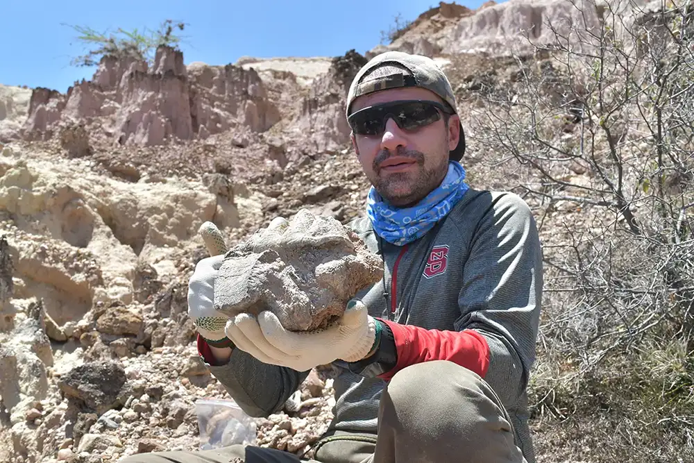 Paleontología Neotropical Tradicional y Molecular (PaleoNeo)
