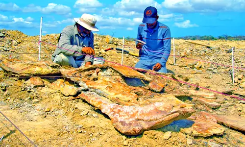 Aprendizaje en acción