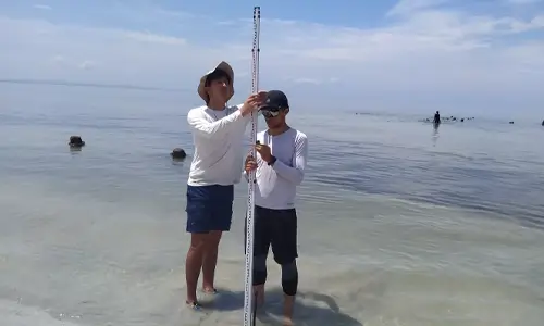 Excelencia académica y científica