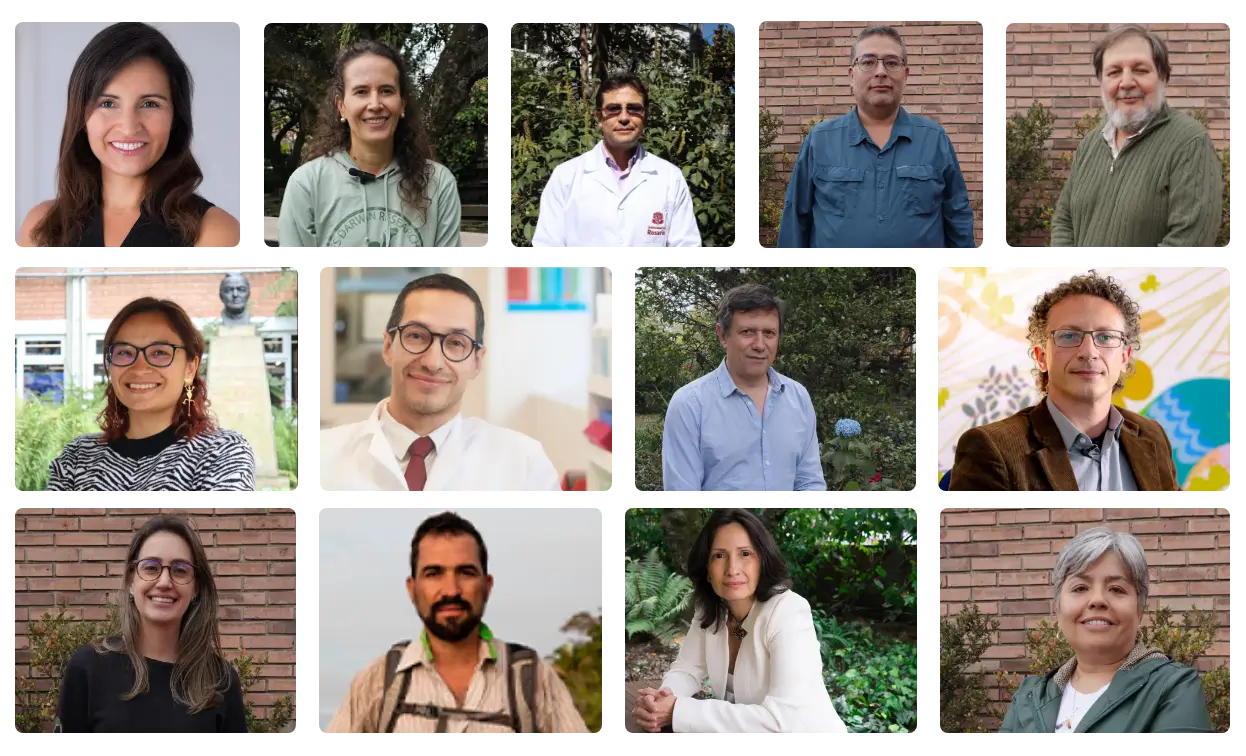 Mosaico de profesores del programa de Biología urosario