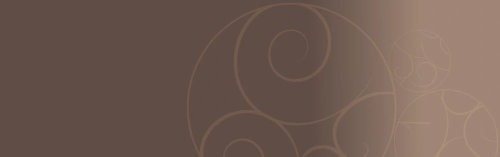 bg-banner-financiacion-2.