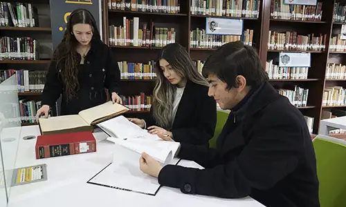 Oferta académica innovadora en el Pregrado en Criminología e Investigación Criminal de la Universidad del Rosario