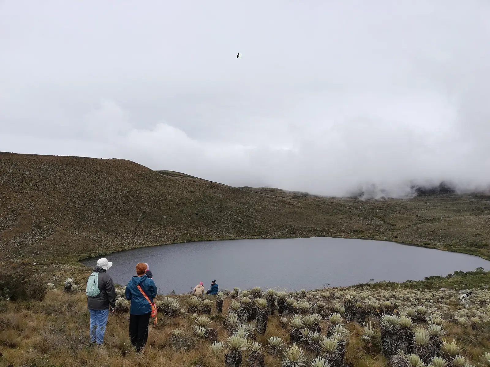 Galería de imágenes del programa de Antropología de URosario