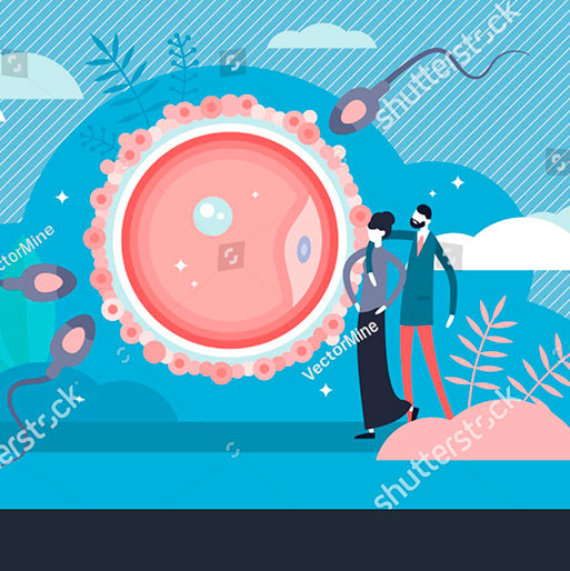 El baby boom de la paz Evidencia del acuerdo de paz entre el gobierno colombiano y las FARC