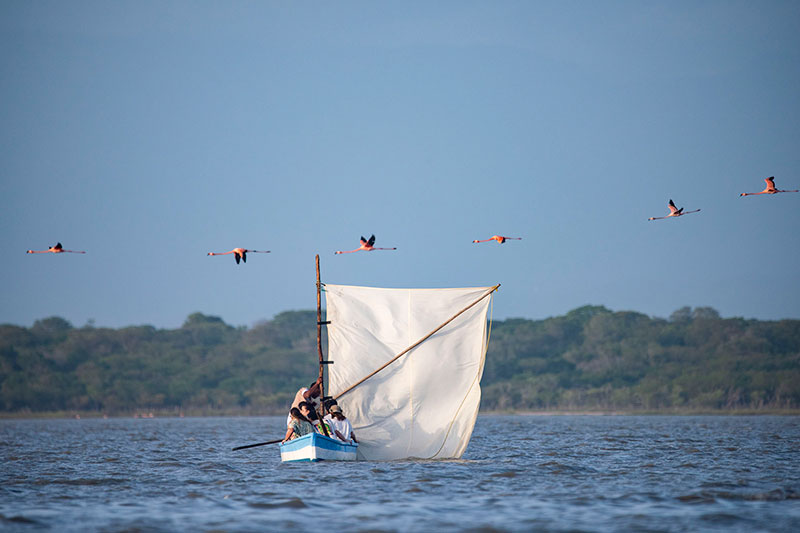 Fotografía intercultural: Segunda edición Guajira