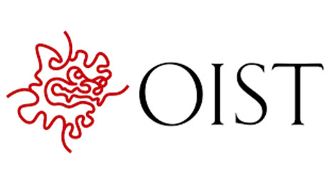 OIST Research Internship 2026—Fully Funded Opportunity in Japan