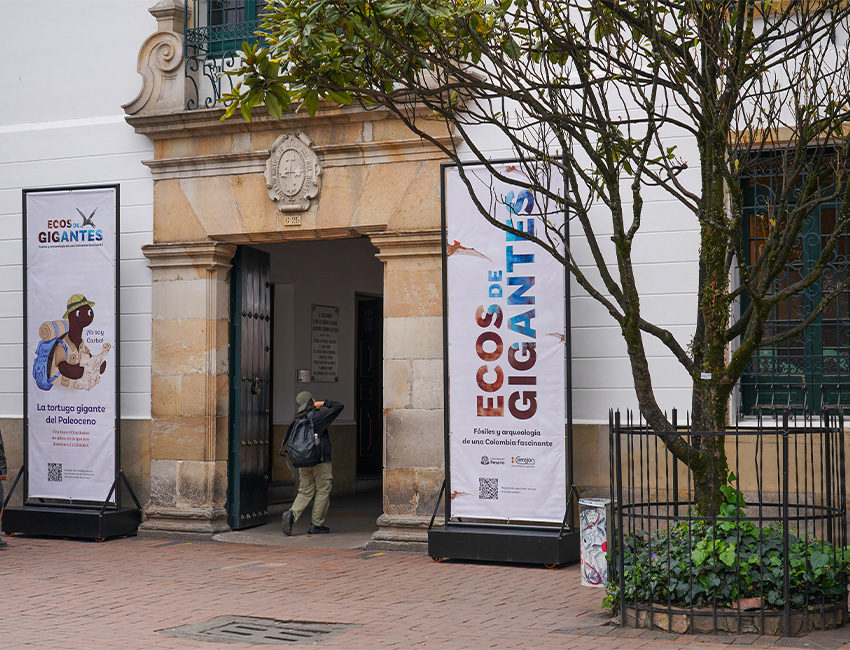 ecos-gigantes-articulo-revista