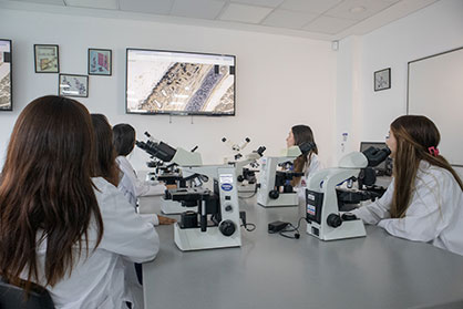Profesor Principal de Carrera Medicina / Neurociencias
